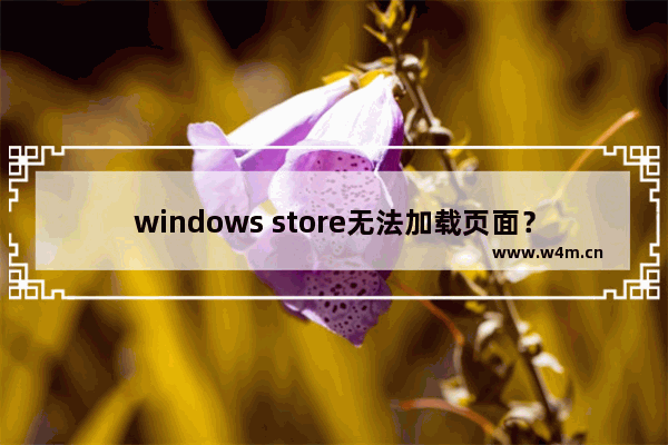 windows store无法加载页面？多种解决方法，轻松解决windows store无法加载的问题