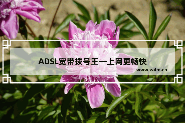 ADSL宽带拨号王—上网更畅快