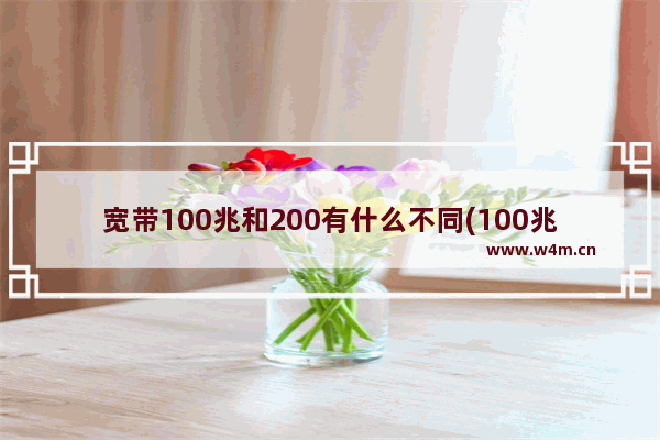 宽带100兆和200有什么不同(100兆和200兆宽带区别大吗)