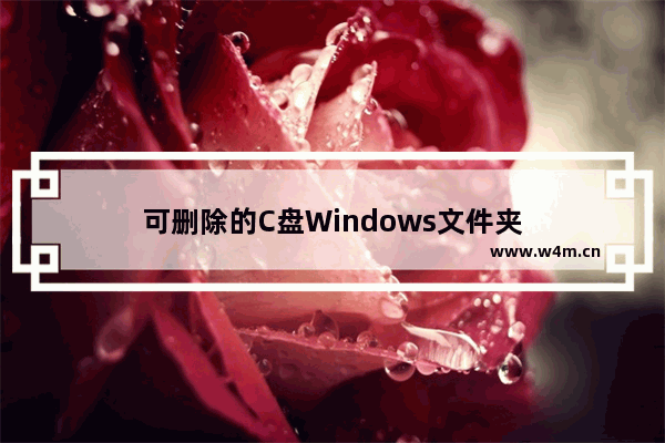 可删除的C盘Windows文件夹