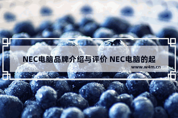 NEC电脑品牌介绍与评价 NEC电脑的起源与特点