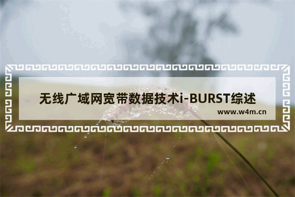 无线广域网宽带数据技术i-BURST综述