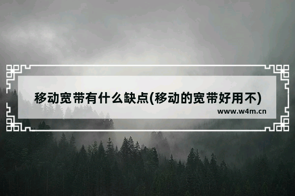 移动宽带有什么缺点(移动的宽带好用不)