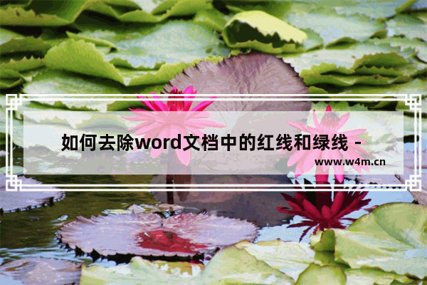 如何去除word文档中的红线和绿线 - 去除word文档中红线和绿线的方法