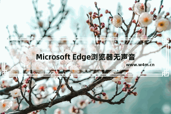 Microsoft Edge浏览器无声音问题解决方法！