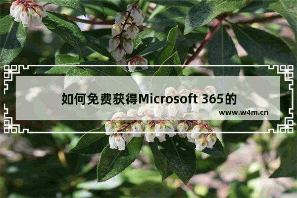 如何免费获得Microsoft 365的激活码 2023年版