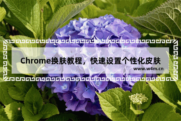 Chrome换肤教程，快速设置个性化皮肤！