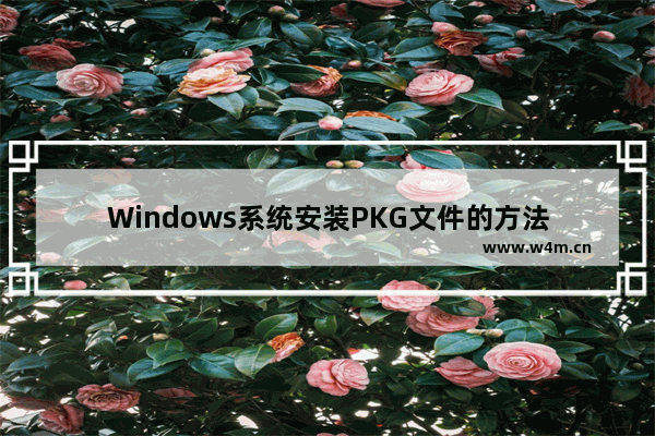 Windows系统安装PKG文件的方法