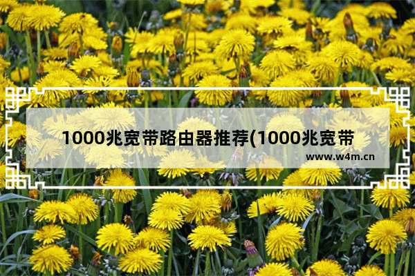 1000兆宽带路由器推荐(1000兆宽带配什么路由器)