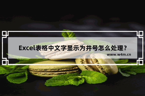 Excel表格中文字显示为井号怎么处理？解决Excel表格中井号显示的方法