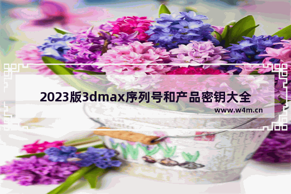 2023版3dmax序列号和产品密钥大全，快来获取你需要的激活码