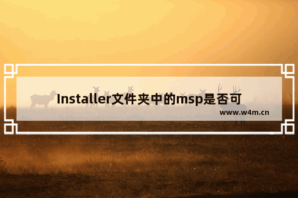 Installer文件夹中的msp是否可以删除？- 是否可以删除Windows Installer文件夹中的msp文件？