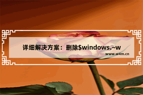 详细解决方案：删除$windows.~ws的方法