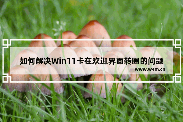 如何解决Win11卡在欢迎界面转圈的问题？