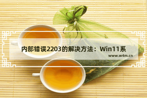 内部错误2203的解决方法：Win11系统提示内部错误2203怎么办？