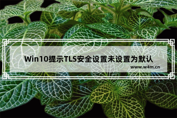 Win10提示TLS安全设置未设置为默认的解决方法