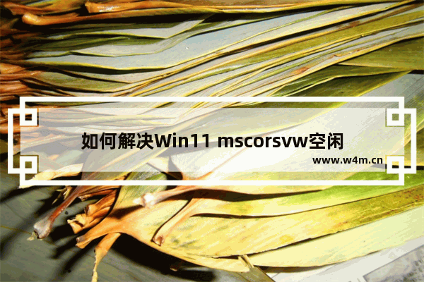 如何解决Win11 mscorsvw空闲狂占CPU的问题？