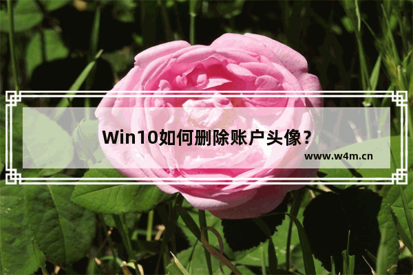 Win10如何删除账户头像？