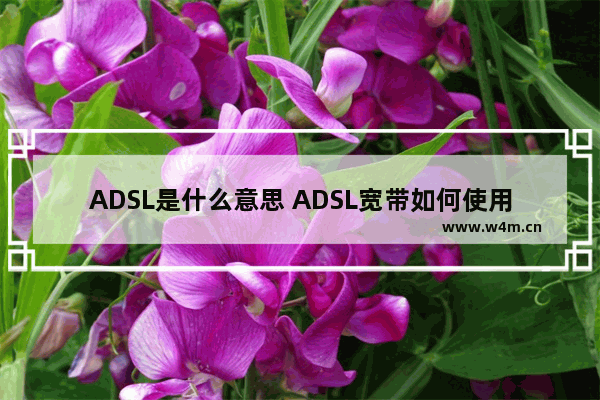 ADSL是什么意思 ADSL宽带如何使用路由器【使用方法】