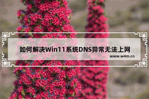 如何解决Win11系统DNS异常无法上网的问题？