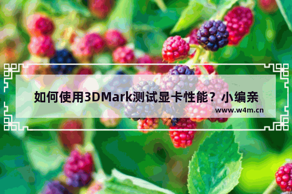 如何使用3DMark测试显卡性能？小编亲测，不可错过！