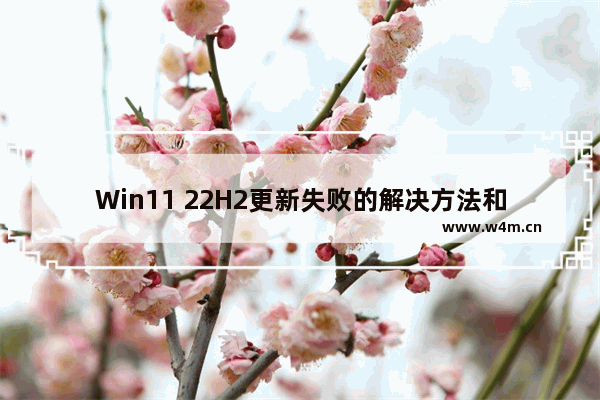 Win11 22H2更新失败的解决方法和安装错误教程