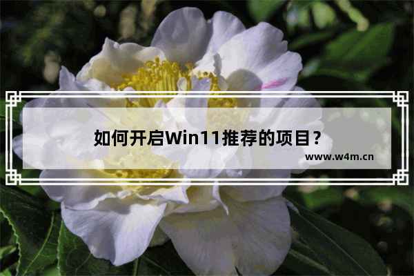 如何开启Win11推荐的项目？