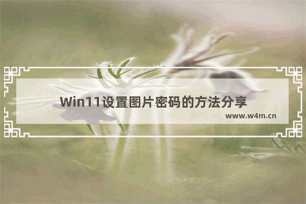 Win11设置图片密码的方法分享