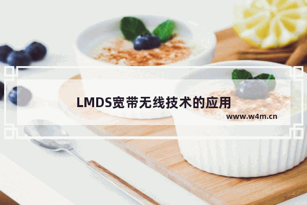 LMDS宽带无线技术的应用