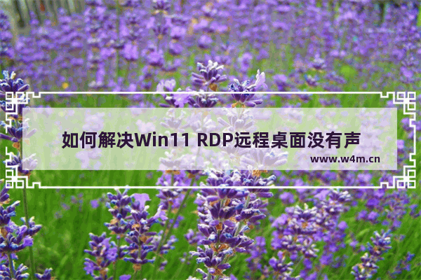 如何解决Win11 RDP远程桌面没有声音的问题？