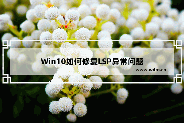 Win10如何修复LSP异常问题