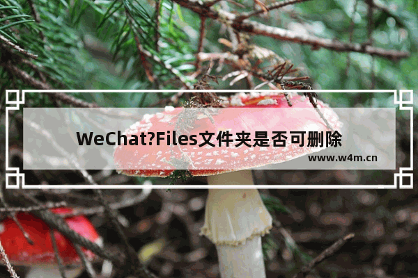 WeChat?Files文件夹是否可删除？