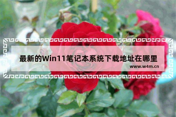 最新的Win11笔记本系统下载地址在哪里？