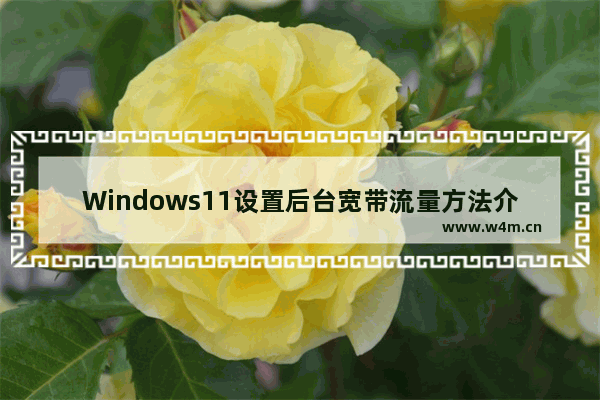 Windows11设置后台宽带流量方法介绍