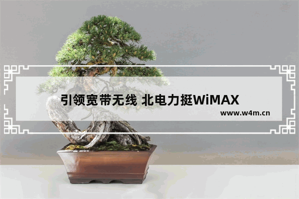 引领宽带无线 北电力挺WiMAX