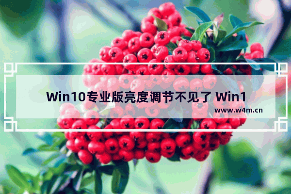 Win10专业版亮度调节不见了 Win10更新后亮度无法调节