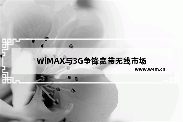 WiMAX与3G争锋宽带无线市场