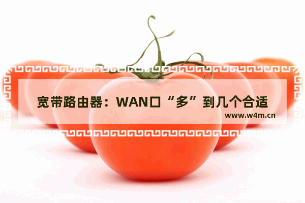 宽带路由器：WAN口“多”到几个合适