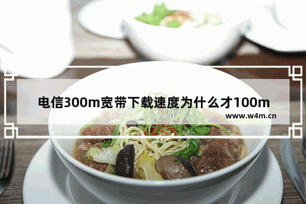 电信300m宽带下载速度为什么才100m