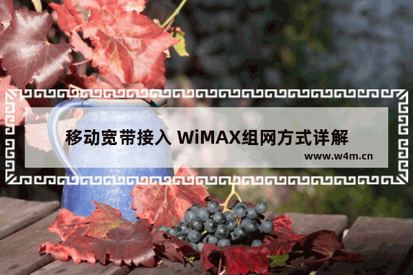 移动宽带接入 WiMAX组网方式详解