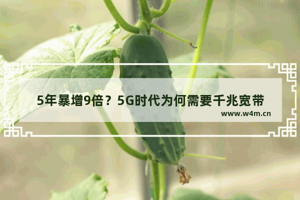 5年暴增9倍？5G时代为何需要千兆宽带