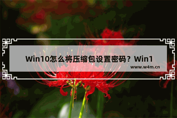 Win10怎么将压缩包设置密码？Win10设置压缩包解压密码方法