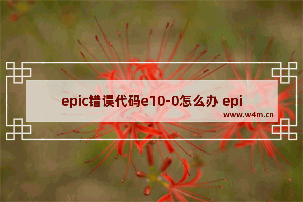 epic错误代码e10-0怎么办 epic产品激活失败e10-0修复方法