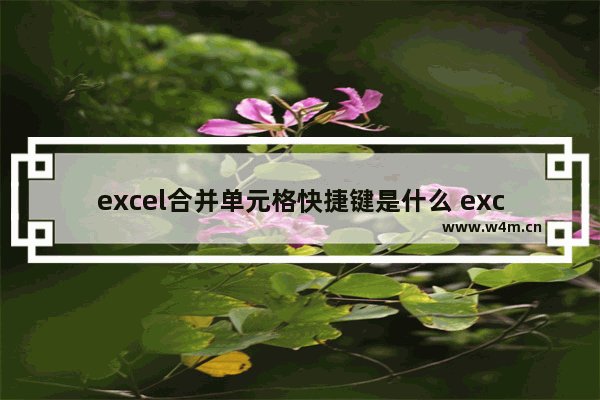 excel合并单元格快捷键是什么 excel合并居中快捷键是哪个