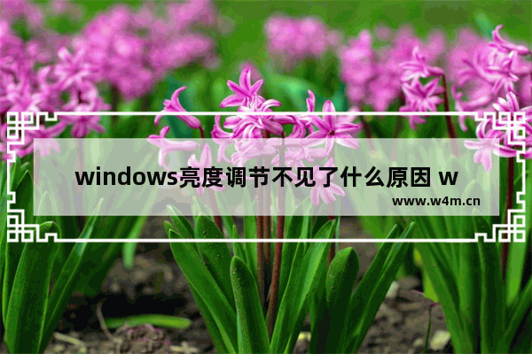 windows亮度调节不见了什么原因 windows亮度调节不见了的恢复方法