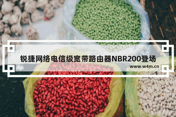 锐捷网络电信级宽带路由器NBR200登场