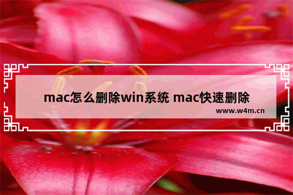 mac怎么删除win系统 mac快速删除win系统的方法