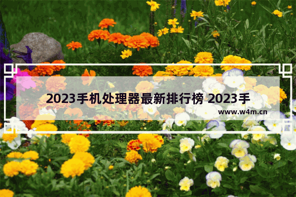 2023手机处理器最新排行榜 2023手机处理器排行榜图片高清