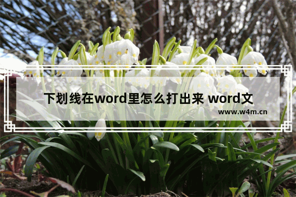 下划线在word里怎么打出来 word文档怎么打出下划线