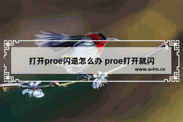 打开proe闪退怎么办 proe打开就闪退解决方法